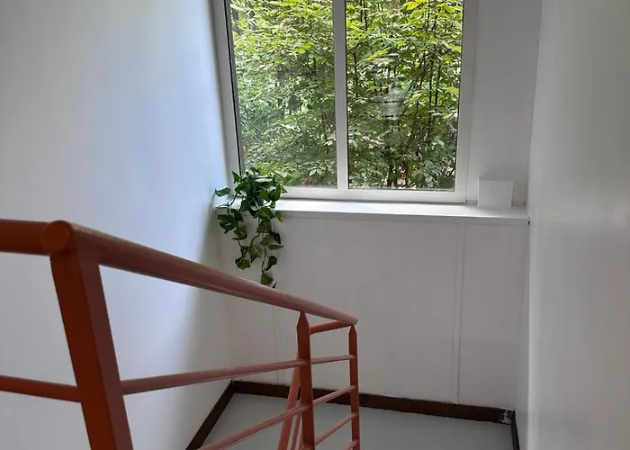 Vandrerhjem Le Tuc Messanges (Landes)